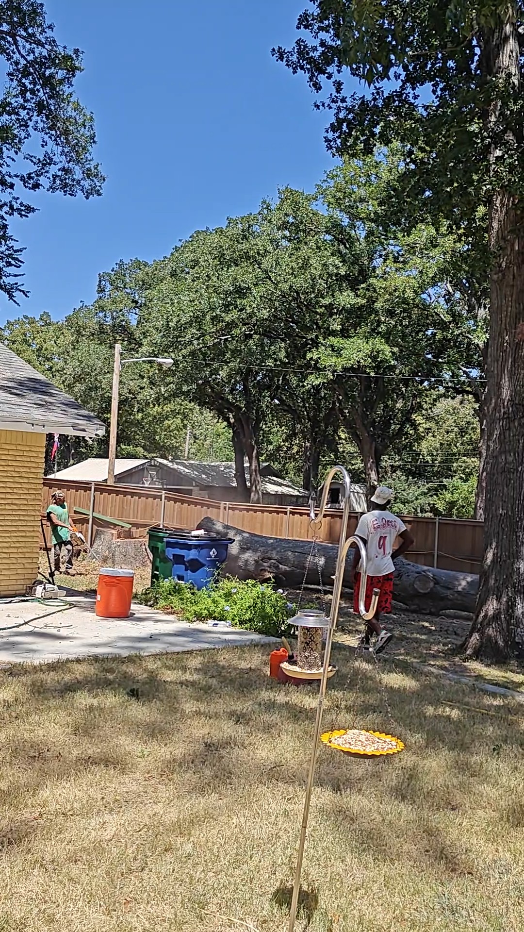 Jackson's Tree Services crew working in Greenville TX